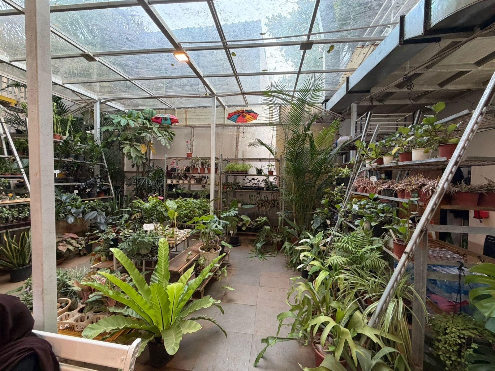 Roots and Shoots plant nursery