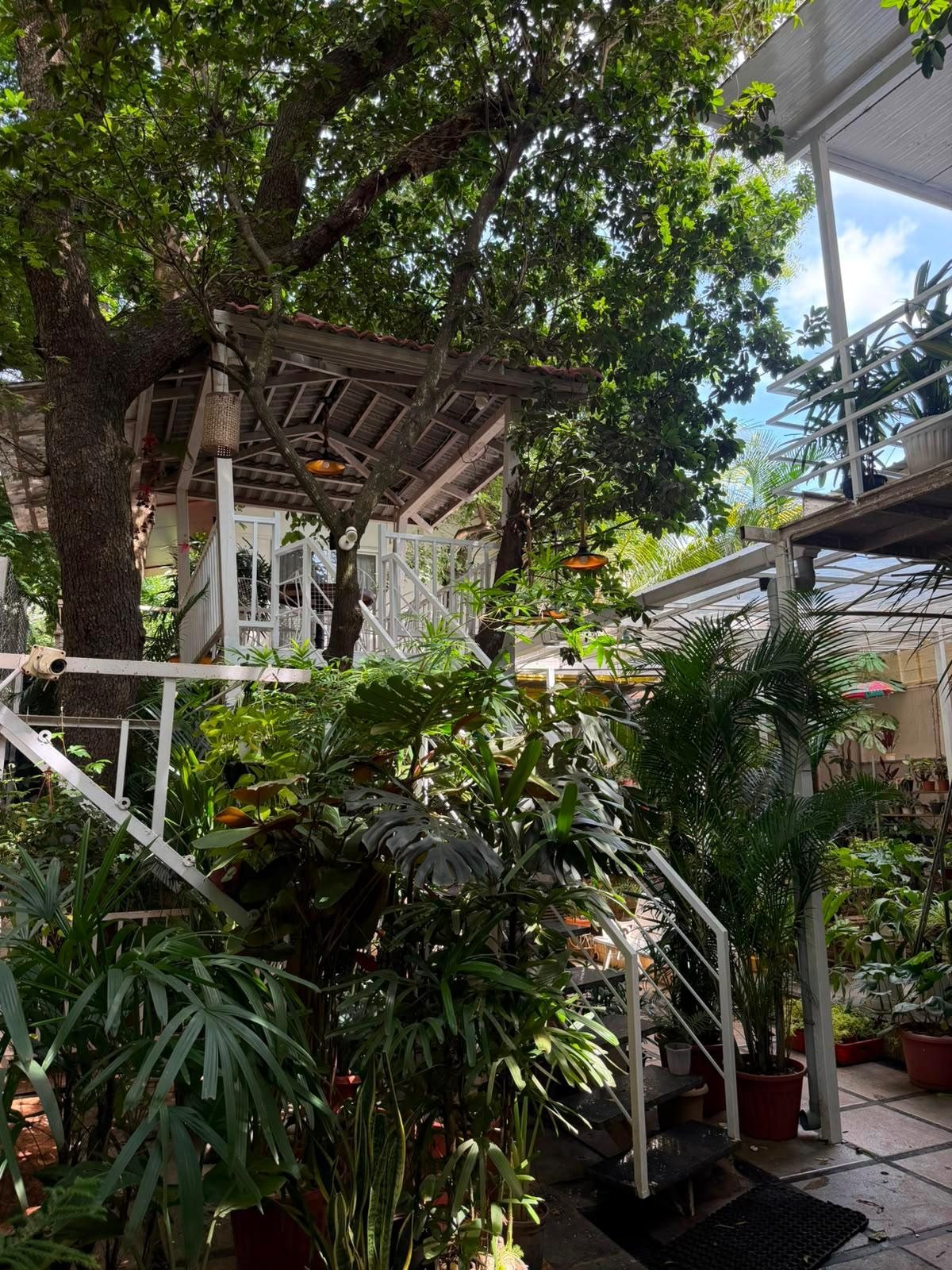 The treehouse